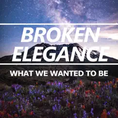What We Wanted To Be - Single by Broken Elegance album reviews, ratings, credits