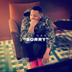Sorry - Single by Looze Cannon album reviews, ratings, credits