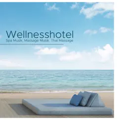 Wellnesshotel - Spa Musik, Massage Musik, Thai Massage, Sauna, Lounge, Entspannung und Meditation by Meister der Schlaflieder album reviews, ratings, credits