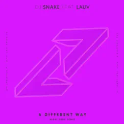 A Different Way (feat. Lauv) [Henry Fong Remix] Song Lyrics