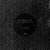 Pain & Pleasure EP feat. Lady Blacktronika album lyrics, reviews, download