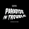 Paradise in Trouble (Birthday Boy Remix) - Single album lyrics, reviews, download