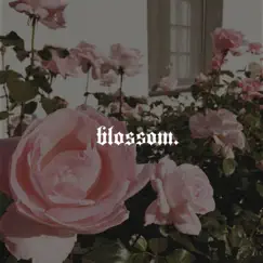 Blossom. - Single by Rosebuds. album reviews, ratings, credits