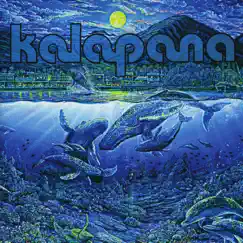 Blue Album by Kalapana album reviews, ratings, credits