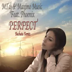 Perfect (With Phoenix) [Bachata Remix] - Single by MTdj & Maximo Music album reviews, ratings, credits