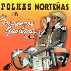 Polkas Nortenas, Vol. 2 by Los Tremendos Gavilanes album reviews, ratings, credits