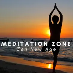 Meditation Zone: Zen New Age, Tantra Yoga, Deep Sleep Music, Pure Spa Massage, Serenity by Flow Zen Silent album reviews, ratings, credits