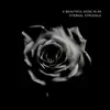A Beautiful Rose in an Eternal Struggle - EP album lyrics, reviews, download