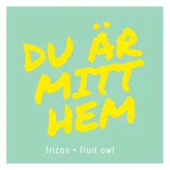 Du är mitt hem - Single by Fruit Owl & Frizon album reviews, ratings, credits
