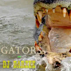 Gators - Single by Dj Darzee album reviews, ratings, credits