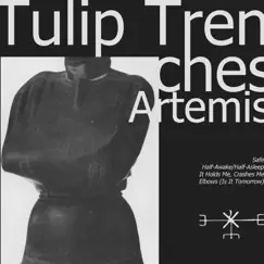 Artemis - EP by Tulip Trenches album reviews, ratings, credits