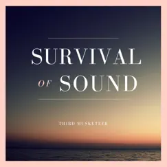 Survival of Sound Song Lyrics