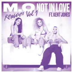 Not In Love (feat. Kent Jones) [Bless Beats Remix] Song Lyrics