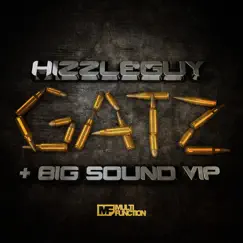 Gatz / Big Sound VIP - Single by Hizzleguy album reviews, ratings, credits