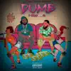 Dumb (feat. Pa) - Single album lyrics, reviews, download