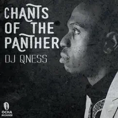 Chants of the Panther - Single by DJ Qness album reviews, ratings, credits