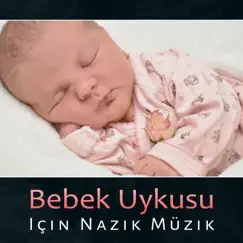 Bebek Uykusu Için Nazik Müzik Song Lyrics