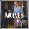 Wolves (Acoustic) song lyrics