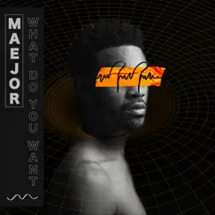 What Do You Want - Single by Maejor album reviews, ratings, credits