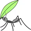 Ants! - Single album lyrics, reviews, download
