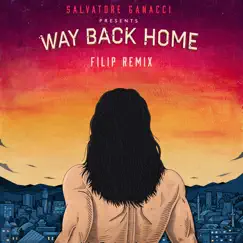 Way Back Home (feat. Sam Gray) [Filip Remix] Song Lyrics