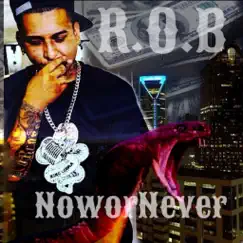 Now or Never - Single by Rob album reviews, ratings, credits
