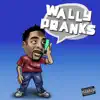 Wally Pranks album lyrics, reviews, download