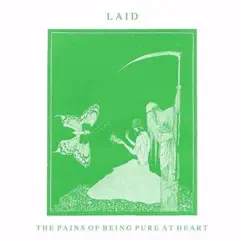 Laid - Single by The Pains of Being Pure At Heart album reviews, ratings, credits