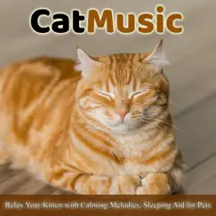Cat Music - Relax Your Kitten with Calming Melodies, Sleeping Aid for Pets by Cat Music Dreams & RelaxMyCat album reviews, ratings, credits