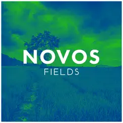 Fields - Single by Novos album reviews, ratings, credits