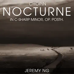 Nocturne No. 20 in C-Sharp Minor, Op. Posth. Song Lyrics