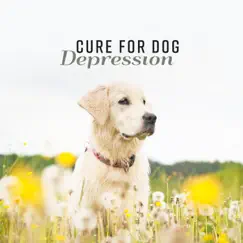 Cure for Dog Depression: Anti Anxiety Zone, Calming Guitar, Healthy Pets, Dreamy Wellness, Fireworks Stress Prevention by Calm Pets Music Academy album reviews, ratings, credits