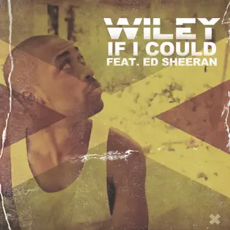 If I Could (feat. Ed Sheeran) - Single by Wiley album download