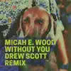 Without You (Drew Scott Remix) - Single album lyrics, reviews, download