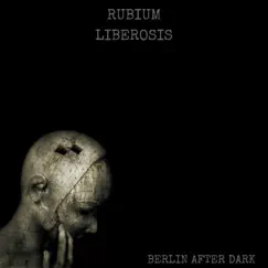 Liberosis - Single by RUBIUM album reviews, ratings, credits