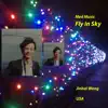 Fly in Sky: Med Music - Single album lyrics, reviews, download