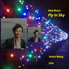 Fly in Sky: Med Music - Single by Jinhai Wang album reviews, ratings, credits