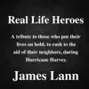 Real Life Heroes - Single album lyrics, reviews, download
