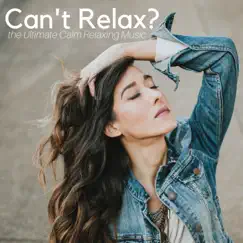 Can't Relax? The Ultimate Calm Relaxing Music for Body & Mind after a Long Day at Work, Inner Peace, Yoga, Spa, Massage by Spiritual Preachers album reviews, ratings, credits