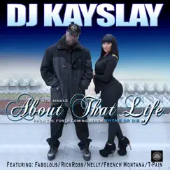 About That Life (feat. Fabolous, T Pain, Rick Ross, Nelly & French Montana) - Single by DJ Kay Slay album reviews, ratings, credits