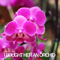 I Bought Her an Orchid Song Lyrics