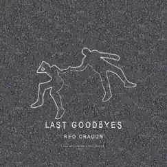 Last Goodbyes Song Lyrics
