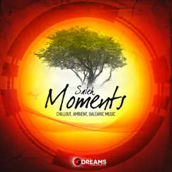 Moments by Saleh album reviews, ratings, credits