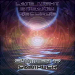 Late Night Sneakin' Records Summer '17 Sampler - EP by Various Artists album reviews, ratings, credits