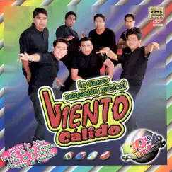 Al Ritmo De La Noche by Viento Cálido album reviews, ratings, credits