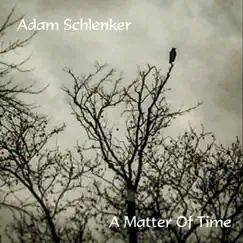 A Matter of Time by Adam Schlenker album reviews, ratings, credits