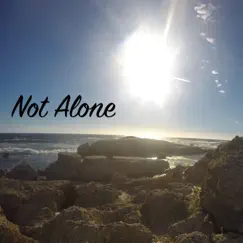Not Alone (feat. Khalil Toure) - Single by X-Project album reviews, ratings, credits