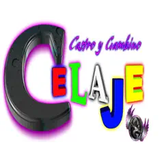 Celaje - Single by Castro y Gambino album reviews, ratings, credits
