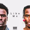 Like Me - Single album lyrics, reviews, download