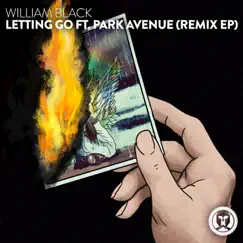 Letting Go (feat. Park Avenue) [Toy Box Remix] Song Lyrics